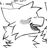 white cat laughing