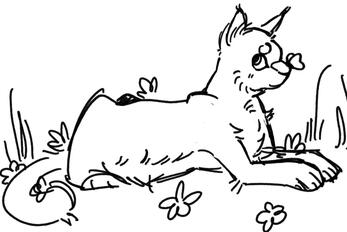some random kitty